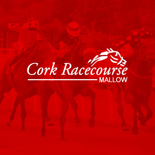 cork_race_thumb Web Design and Development Cork & Dublin