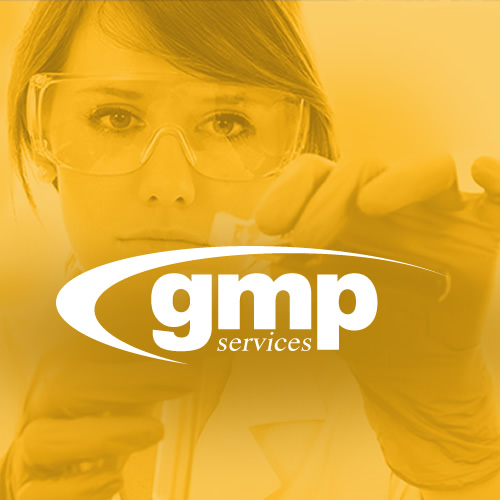 GMP Services - Insight Web Design & Development Company