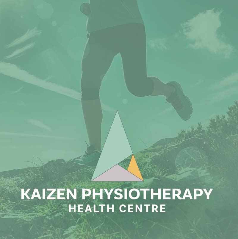 kaizen portfolio