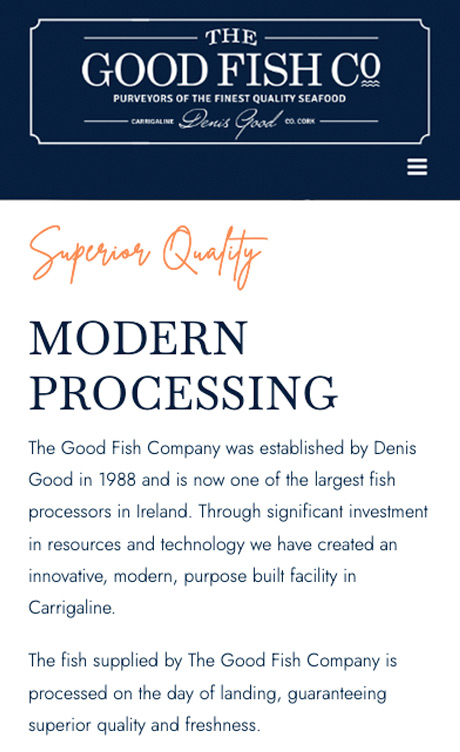 goodfish-portfolio-mobile-1