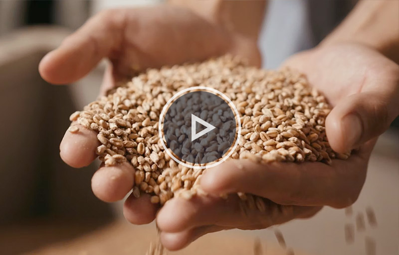 video-tb-brewery Video Production