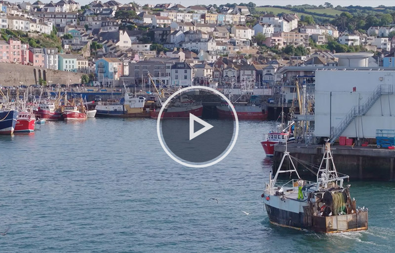 video-tb-good-fish Video Production