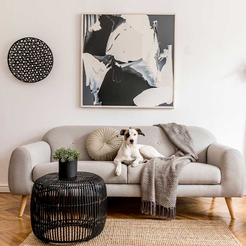 all in one interiors portfolio