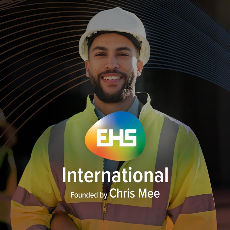 ehs-international-thumb-4 Web Development Cork