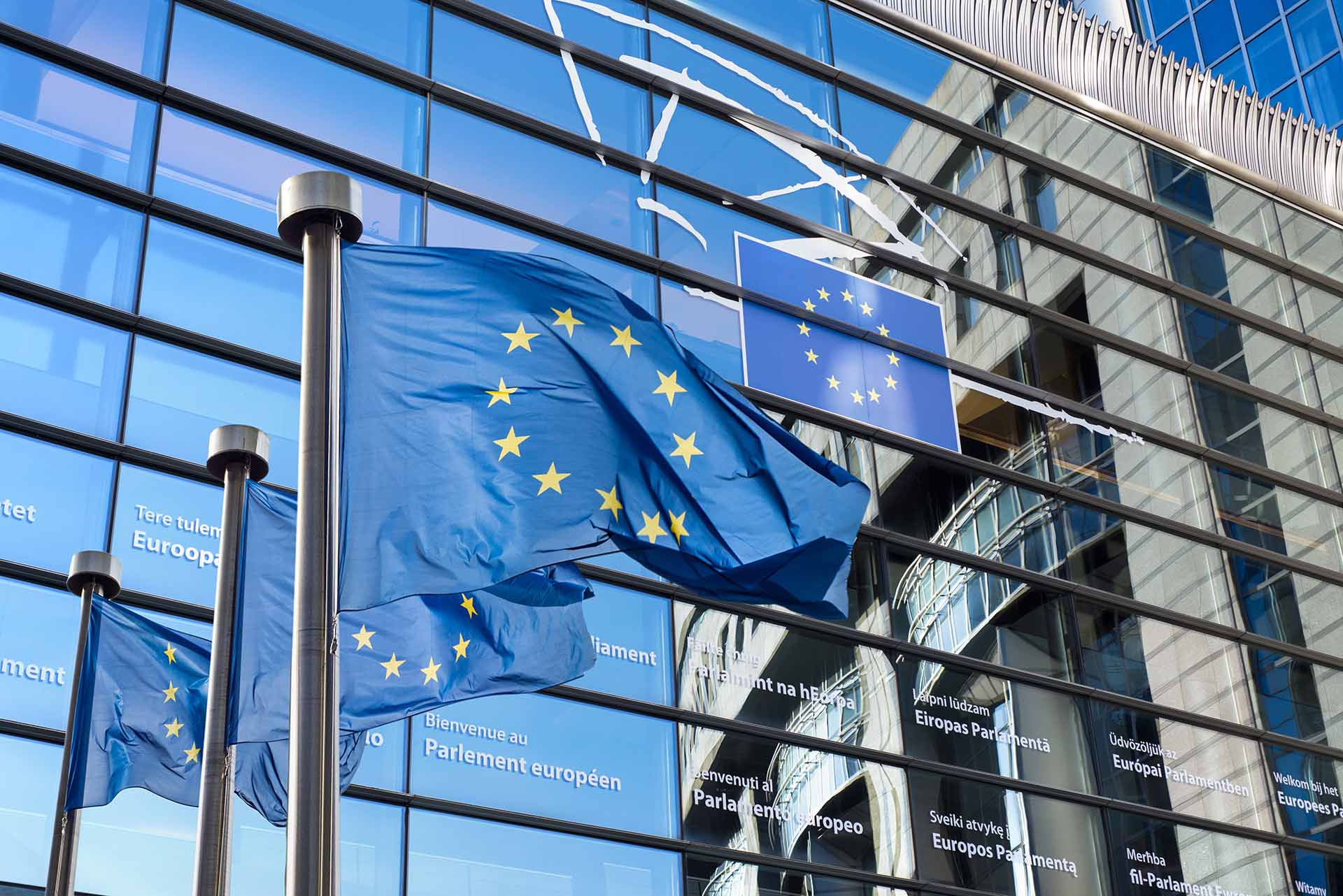 european-legislation-flags News